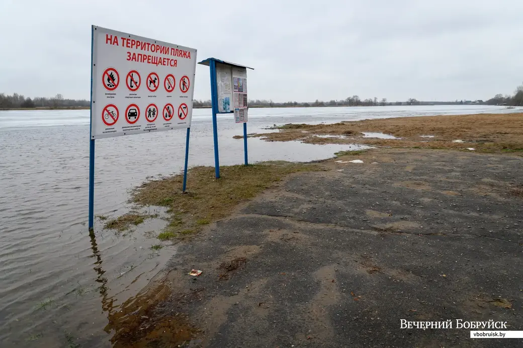 21.01.2023. Бобруйск. Пляж сатория им. В.И.Ленина. Уровень воды в реке достиг 250 см над уровнем гидропоста. В низинах подтоплены берега и огороды на улице Береговой.