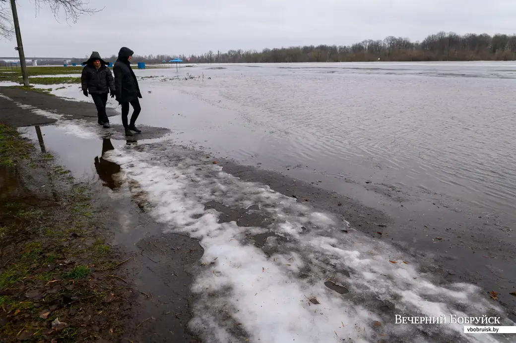 21.01.2023. Бобруйск. Пляж сатория им. В.И.Ленина. Уровень воды в реке достиг 250 см над уровнем гидропоста. В низинах подтоплены берега и огороды на улице Береговой.