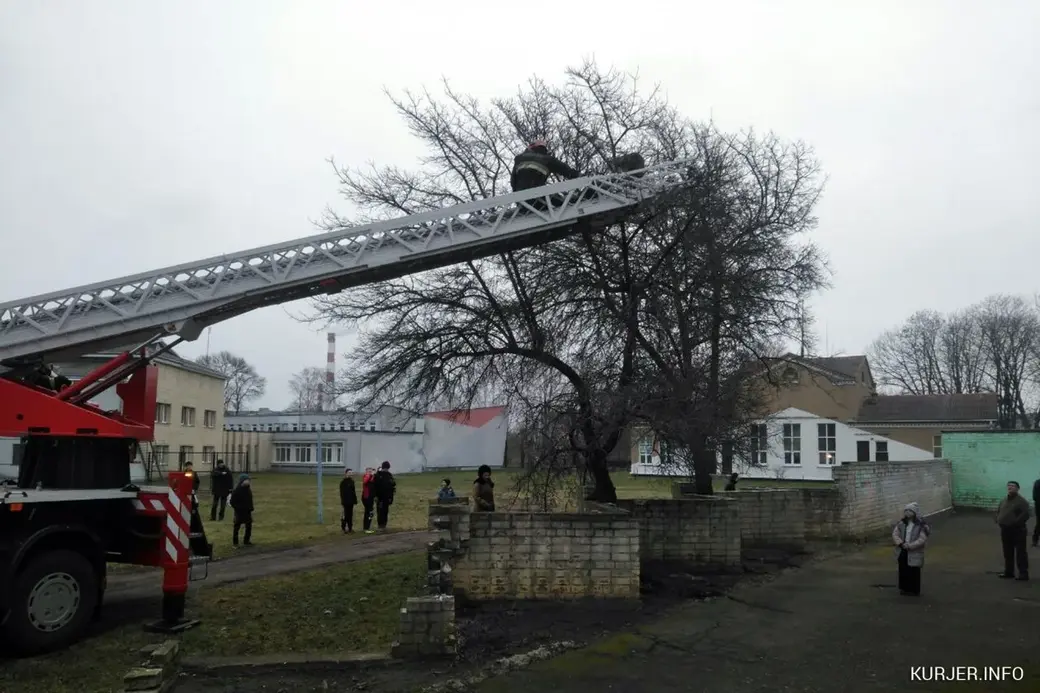 Все могло обойтись без МЧС, если бы приехали хозяева.