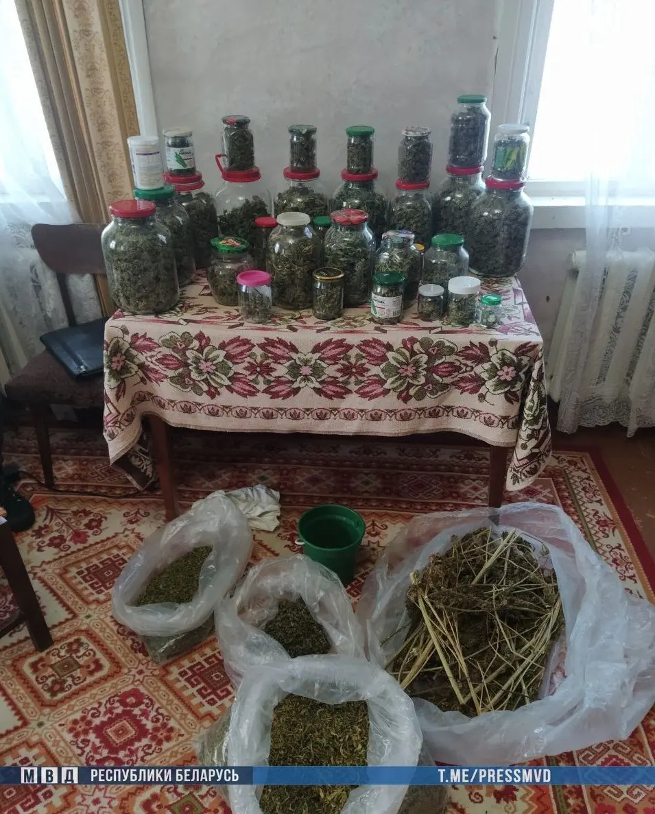 Позже в его дачном доме было изъято еще около 4 кг марихуаны.