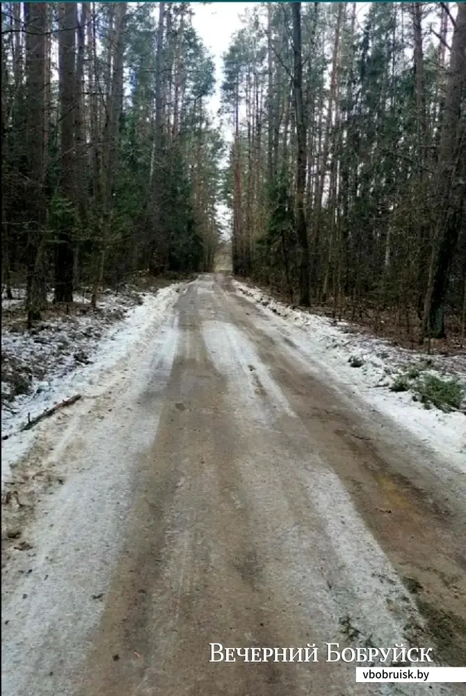 14.02.23, Бабруйскі раён. Дарога на Чарніцу