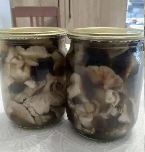 Грибы зеленки.
