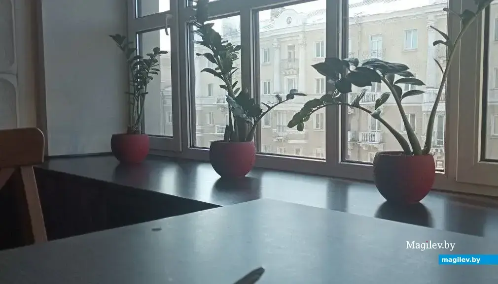Свободных столиков было немного. Вид из она столовой. Как вам?