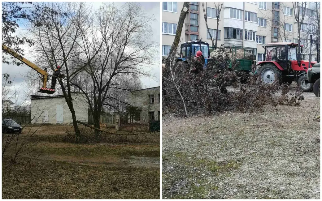 Фото Натальи Никитко