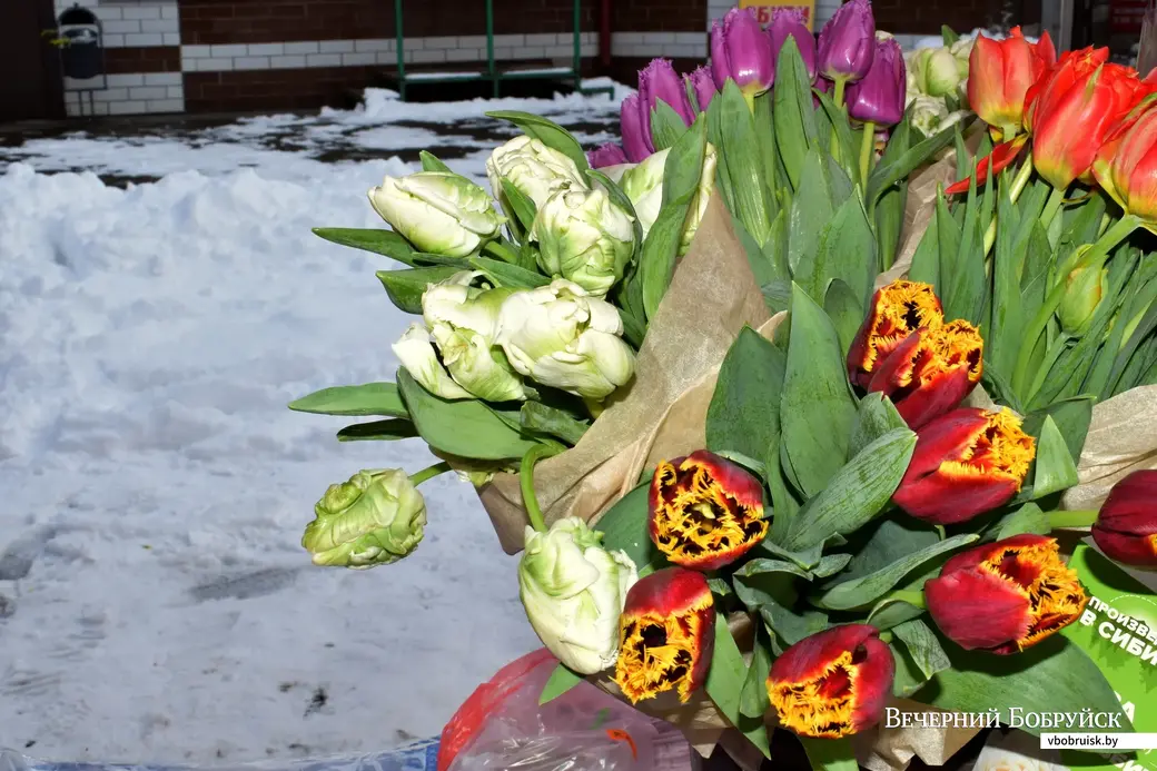 7.03.2023, Бобруйск. Цветочная торговля.
