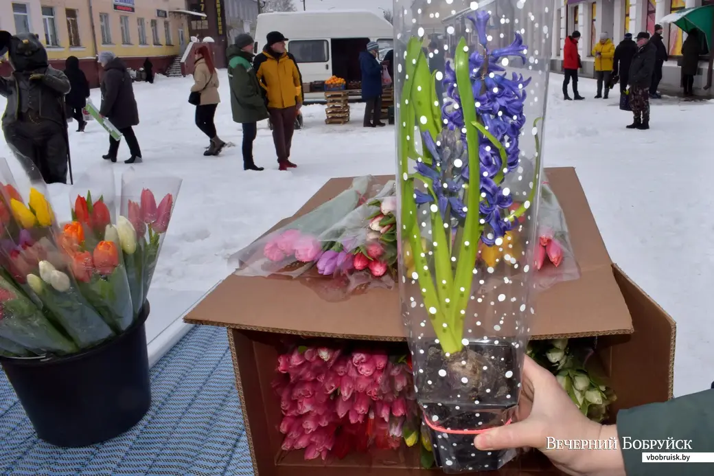 7.03.2023, Бобруйск. Центральный рынок. Гиацинты.