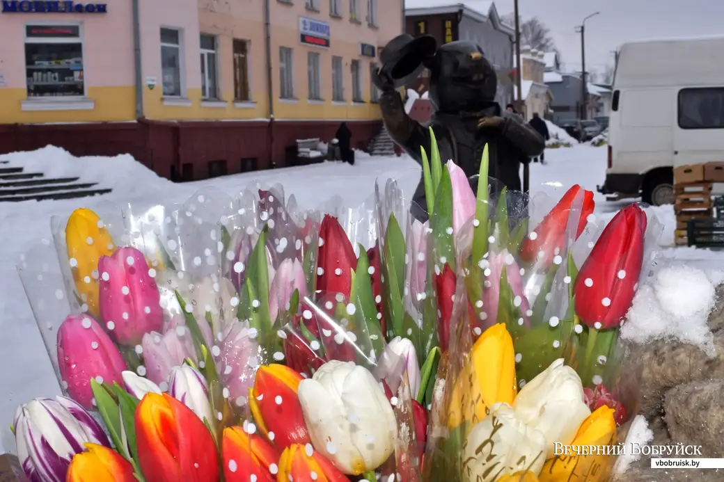 7.03.2023, Бобруйск. Тюльпаны у центрального рынка.