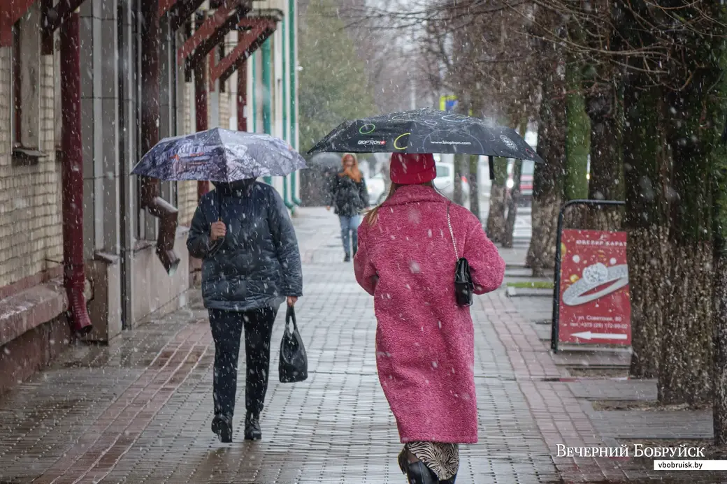 28.03.2023. Бобруйск. {loc}