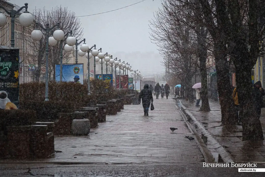 28.03.2023. Бобруйск. {loc}