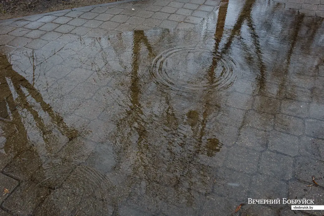 28.03.2023. Бобруйск. {loc}
