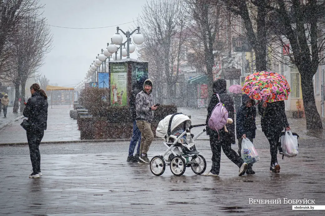 28.03.2023. Бобруйск. {loc}
