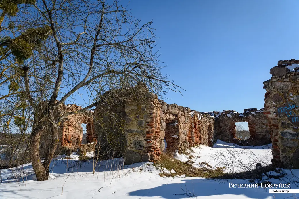 30.03.2023. Поселок Свислочь. Городище