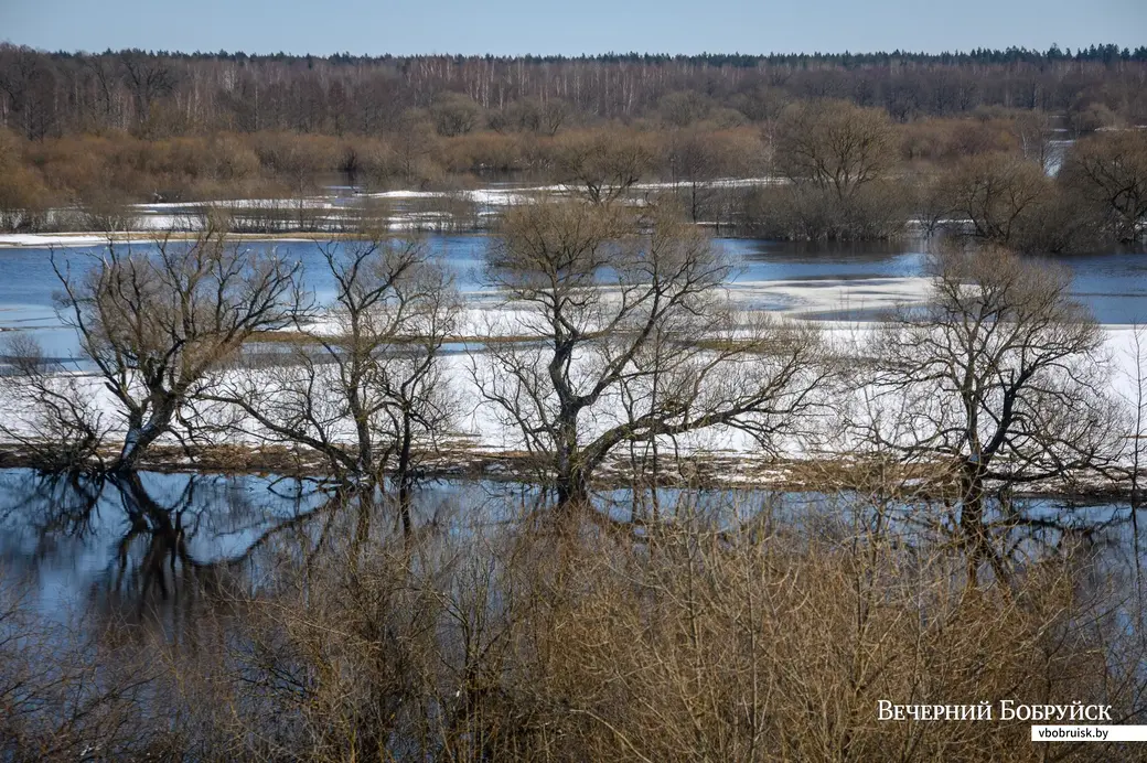 30.03.2023. Поселок Свислочь. Городище