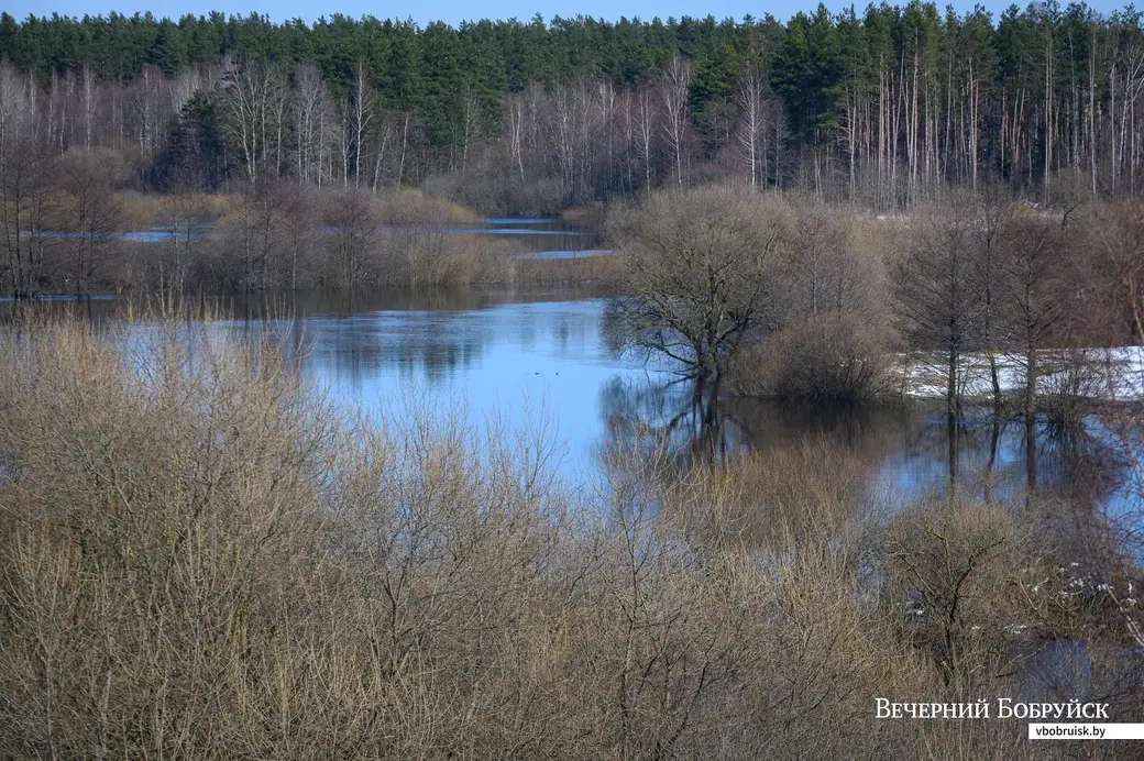 30.03.2023. Поселок Свислочь. Городище
