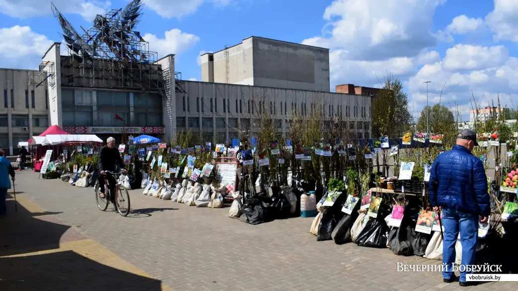 26.04.23, Бобруйский кирмаш