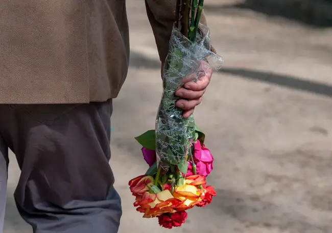 «А вас тут не побьют?» Как в Бобруйске на Радуницу раздавали саженцы и живые цветы вместо пластиковых
