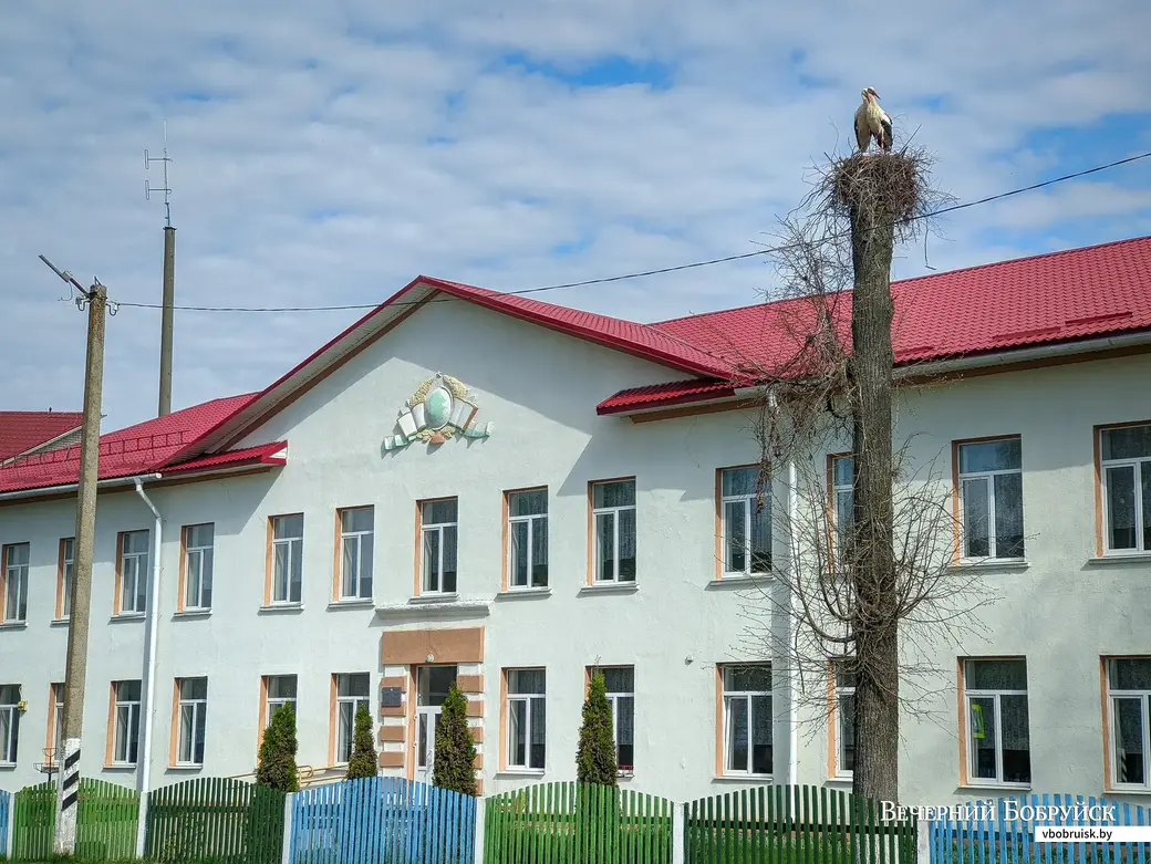 23.04.2023. 21 Советская улица, Старый Дрибин, Дрибин, Дрибинский район, Могилёвская область, 213971, Беларусь. Велосипедный поход «Тур де Стеклофф» по райцентрам