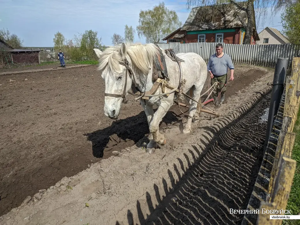 23.04.2023. 21 Смоленская улица, Старый Дрибин, Дрибин, Дрибинский район, Могилёвская область, 213971, Беларусь. Велосипедный поход «Тур де Стеклофф» по райцентрам