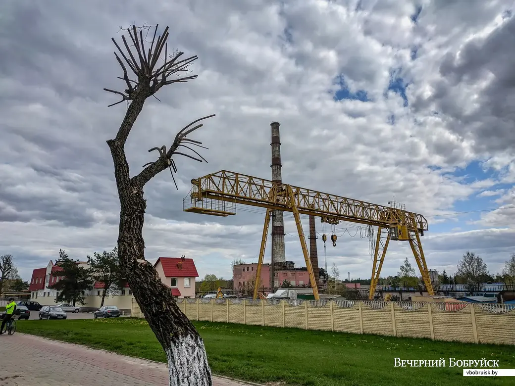 22.04.2023. 4 к1 Витебский проспект, Октябрьский район, Могилёв, Могилёвская область, 212004, Беларусь. Велосипедный поход «Тур де Стеклофф» по райцентрам Могилевской и