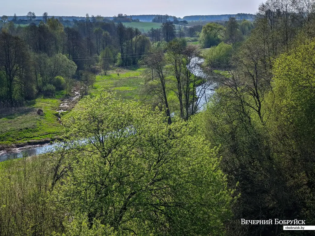 25.04.2023. Друцкое городище (XI—XVI вв.), Центральная улица, Друцк, Толочинский сельский Совет, Толочинский район, Витебская область, Беларусь. Велосипедный поход «Тур