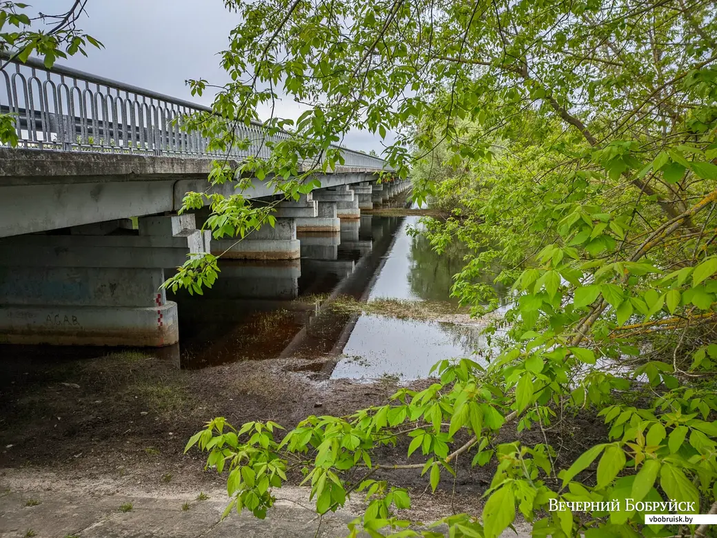 07.05.2023. Р36, Краснобережье, Ударненский сельский Совет, Лельчицкий район, Гомельская область, Беларусь. Велопоход «К морю Геродота. На Припять за разливами»