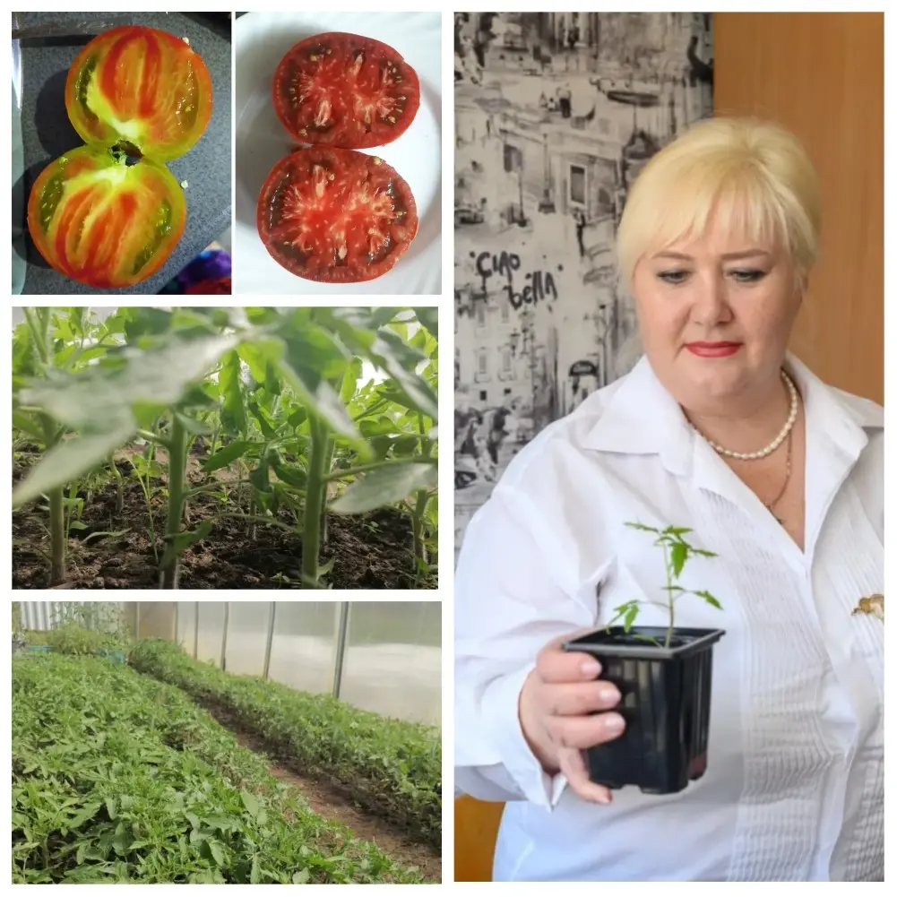 Людмила Золотухина