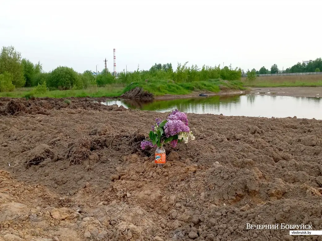 15.05.2023, Бобруйск, седьмой микрорайон. Необычная деталь пейзажа на конечной остановке троллейбуса.
