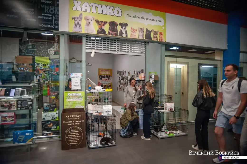 Бобруйск. Зоопавильон «Хатико» в ТЦ «Карусель».