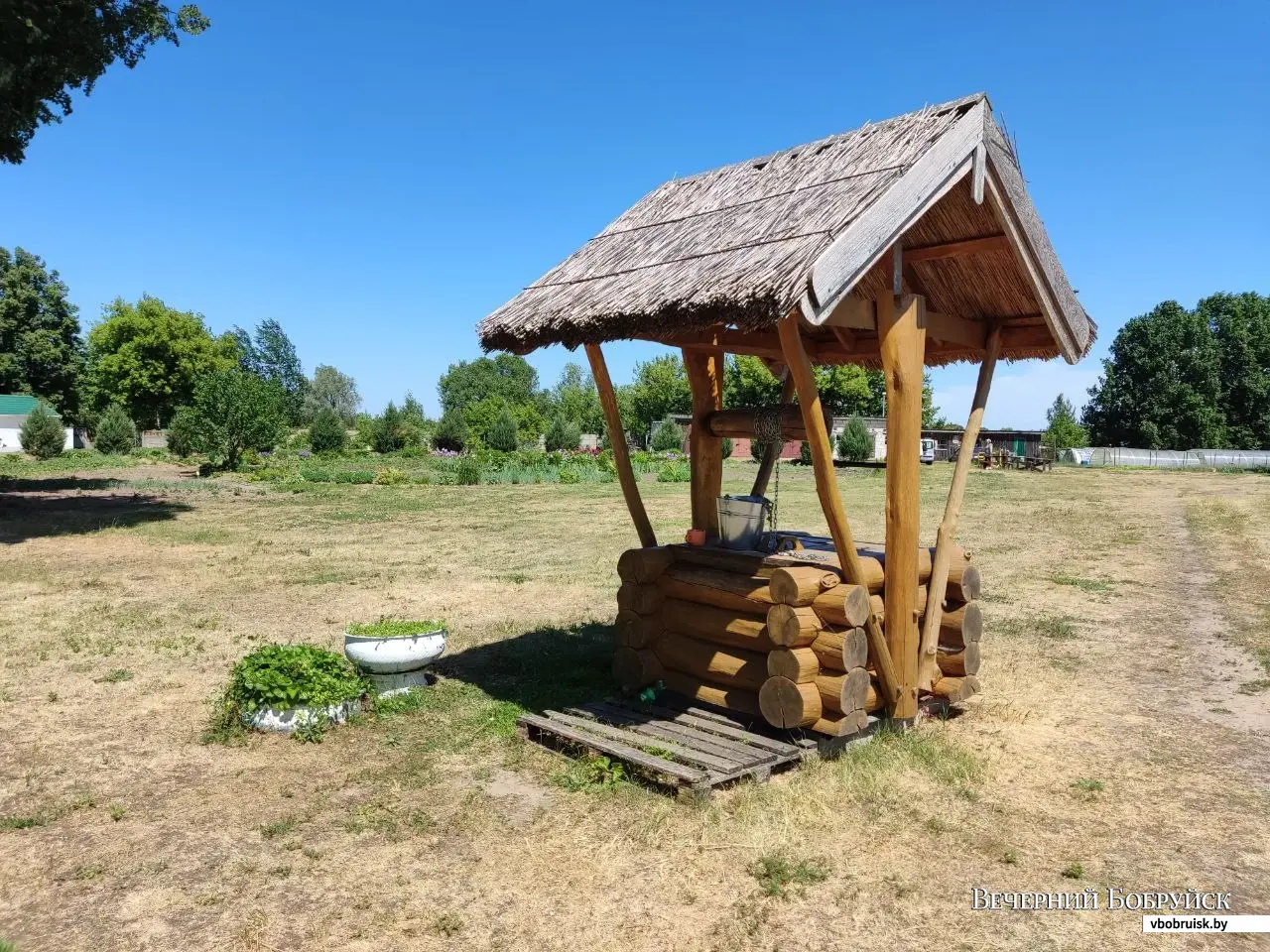 быховское кольцо гомель