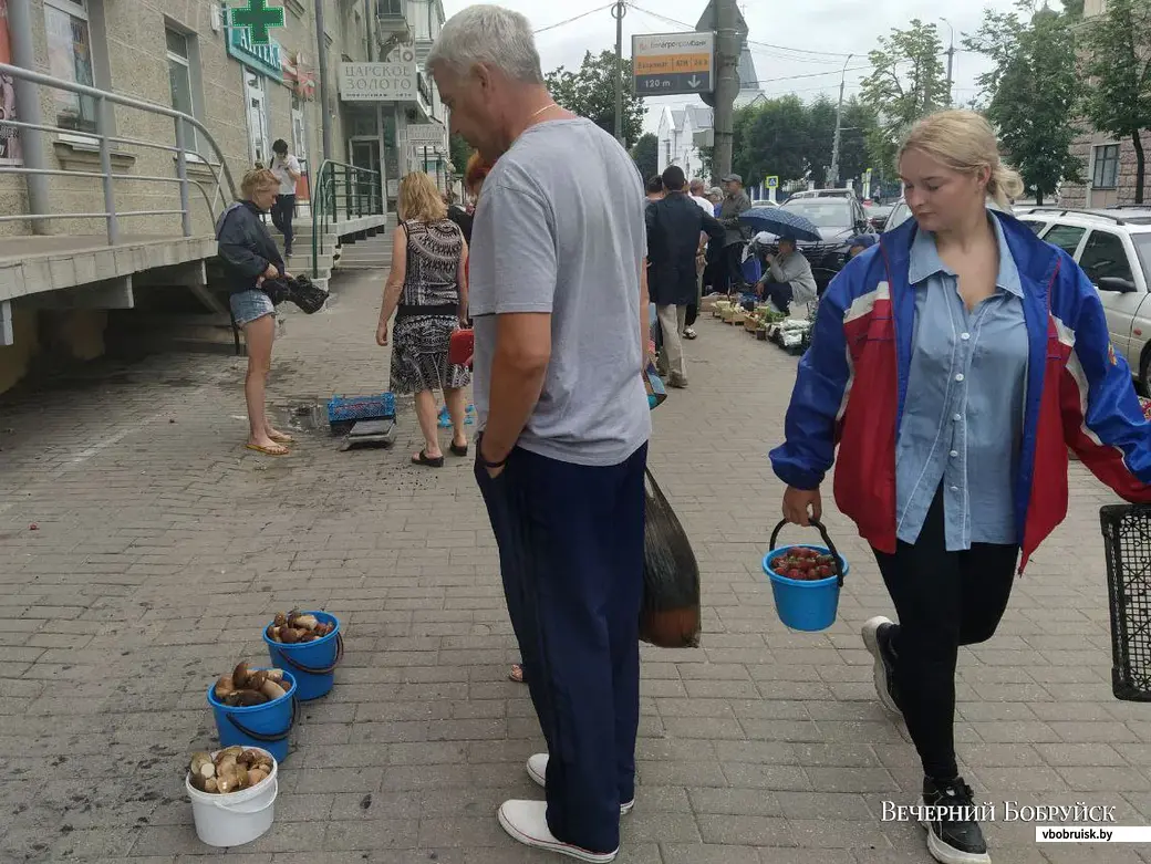 Грибы боровики. Минский рынок. Могилев, 7 июля 2023 года.