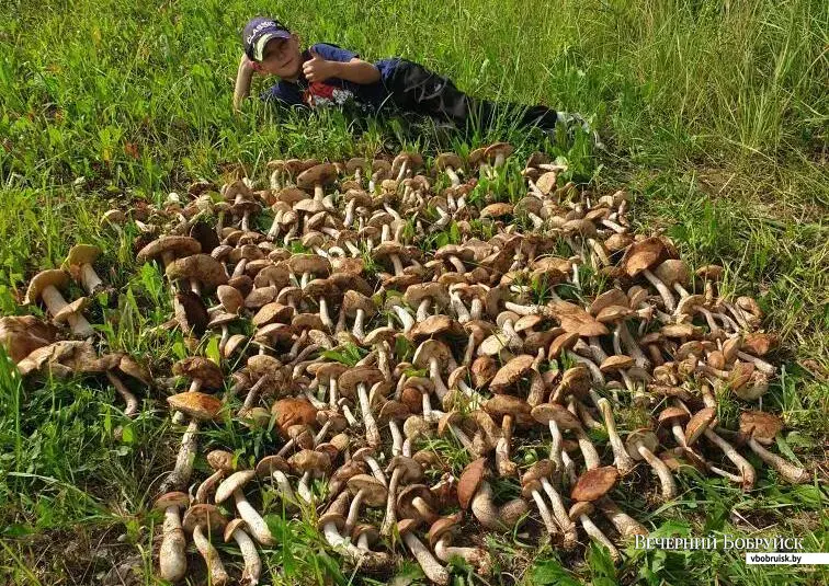 Фото Ивана Подчезерцева из Шклова. На снимке его сын Иван Иванович!