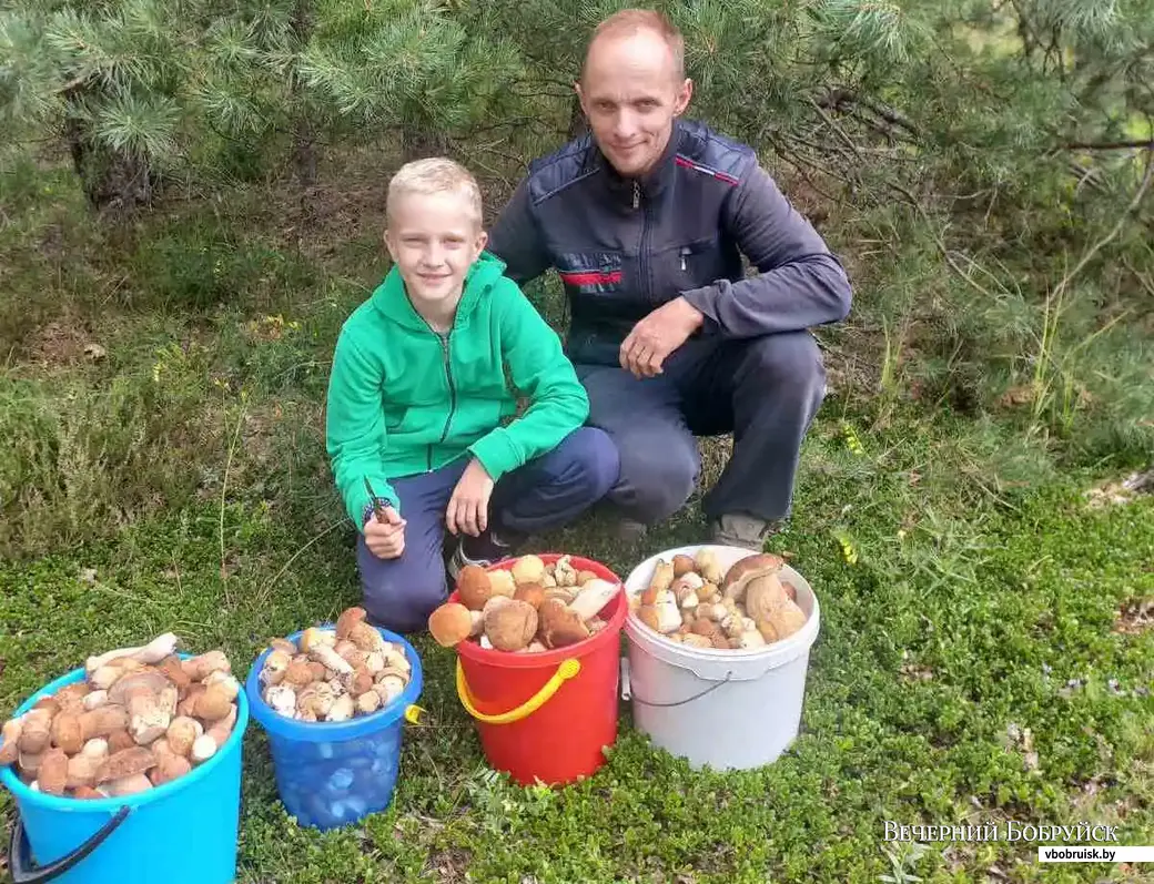 Трофеи семьи Полибиных из Бобруйска.