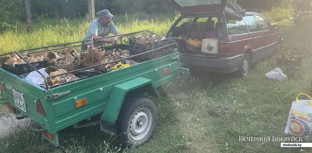 Завидный улов Михаила Харашуна из Бобруйска.