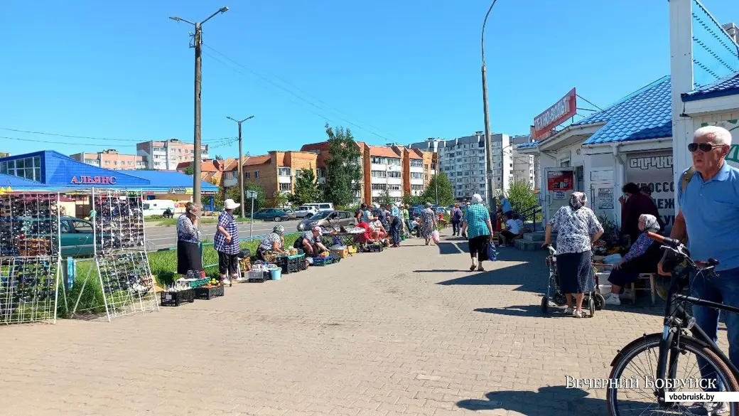 04.08.2023, Бобруйск, Северный рынок. Возле рынка лесных даров предлагают больше, чем внутри.