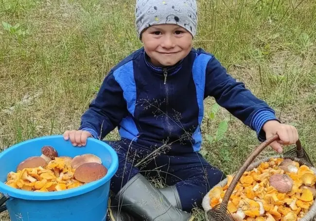 «Огорчение… грибов мало». Наш конкурс «Грибалка удалась» продолжается