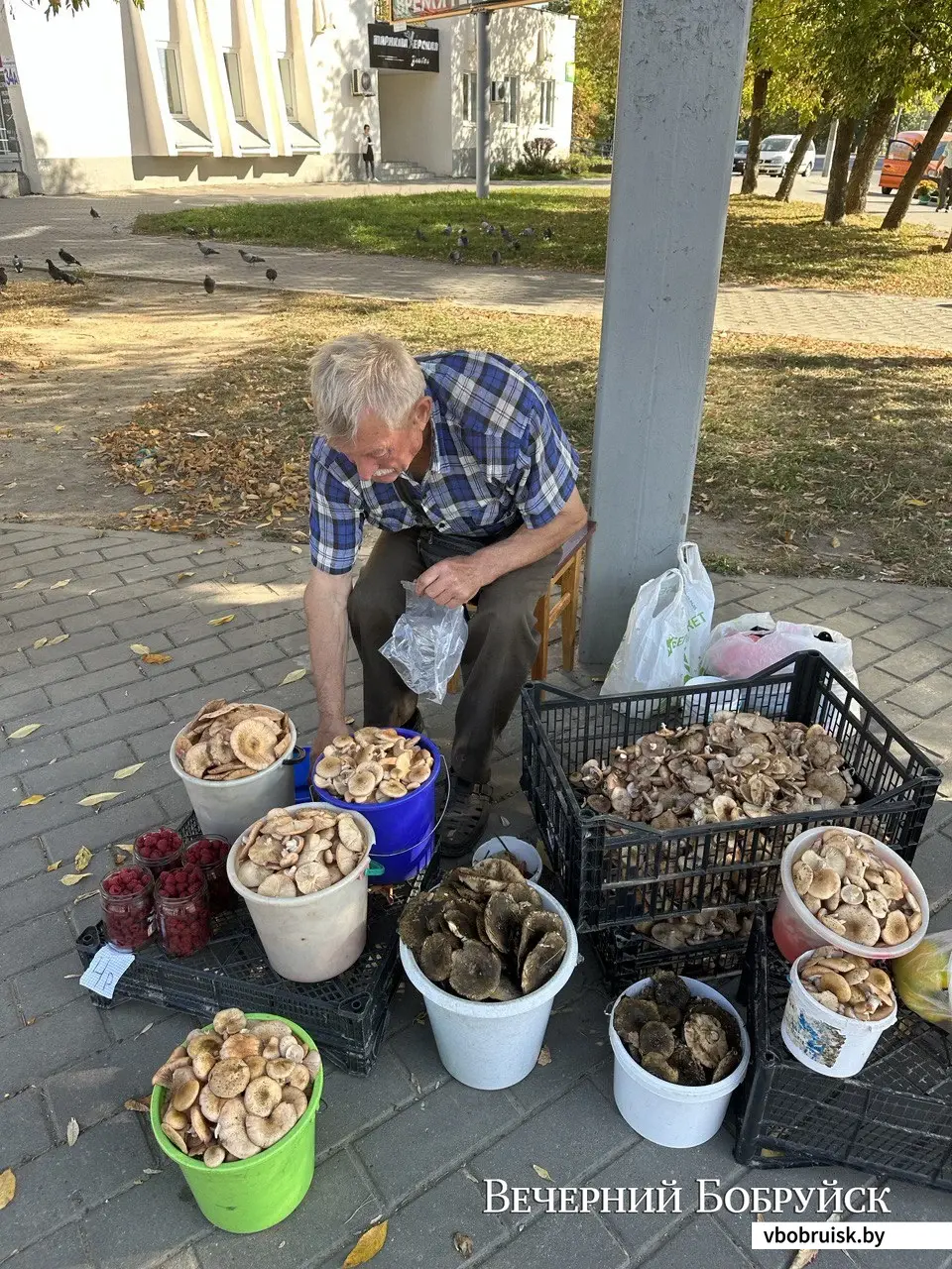 Стихийный рынок у «Садко». Могилев, 29.09.2023 года.