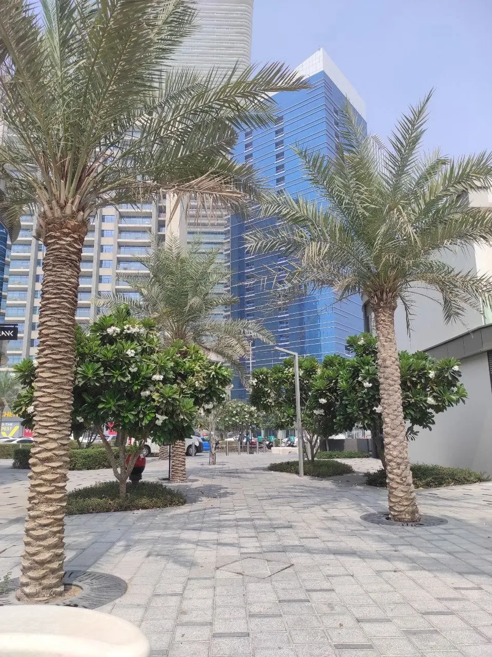 Абу-Даби. Сентябрь 2023 года