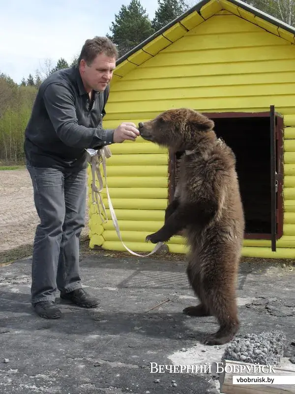 Апрель 2010 года. Сергей Савельев и медвежонок Фоминична.