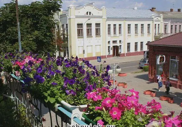 23 июля 2010 года в Бобруйске. Каким увидели этот день наши фотокорреспонденты (20 фото)