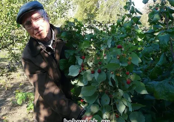 5 октября 2010 года в Бобруйске. Каким увидели этот день наши фотокорреспонденты. Часть 1 (20 фото)