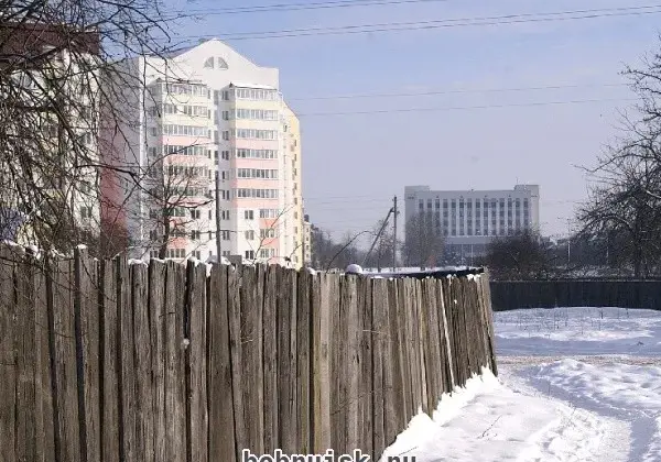 28 января 2011 года в Бобруйске. Часть 2. Каким увидели этот день наши фотокорреспонденты (20 фото)