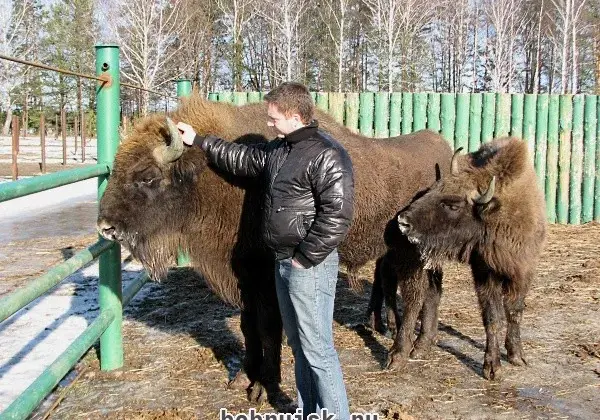 10 февраля 2011 года в Бобруйске. Каким увидели этот день наши фотокорреспонденты (10 фото)