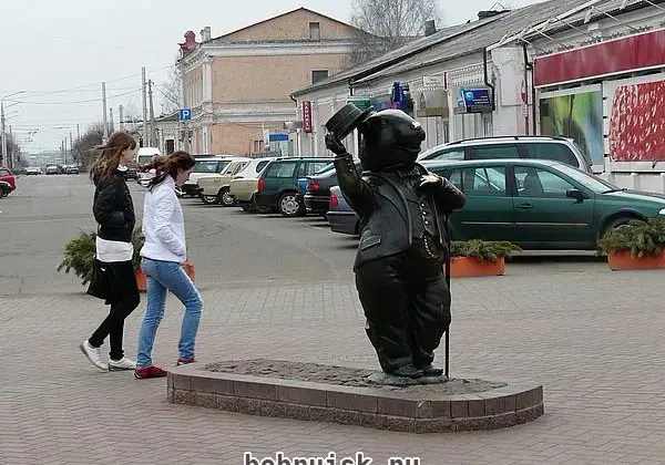 30 марта 2011 года в Бобруйске. Каким увидели этот день наши фотокорреспонденты (10 фото)