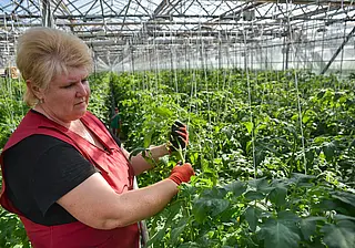 От агронома до библиотекаря. Работа в Бобруйском районе