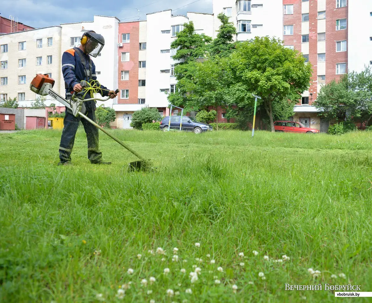 В Бобруйске косят не только траву, но и деревья | bobruisk.ru