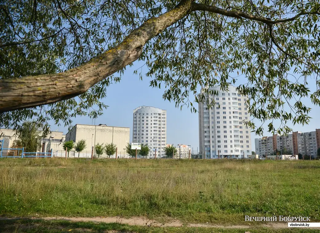 Зеленых зон в Бобруйске становится все меньше? Выясняем | bobruisk.ru