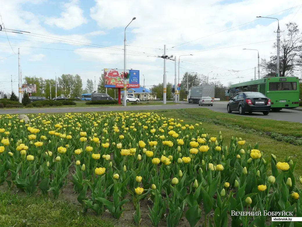 Подводим итоги конкурса «Цветущий май в Бобруйске» | bobruisk.ru