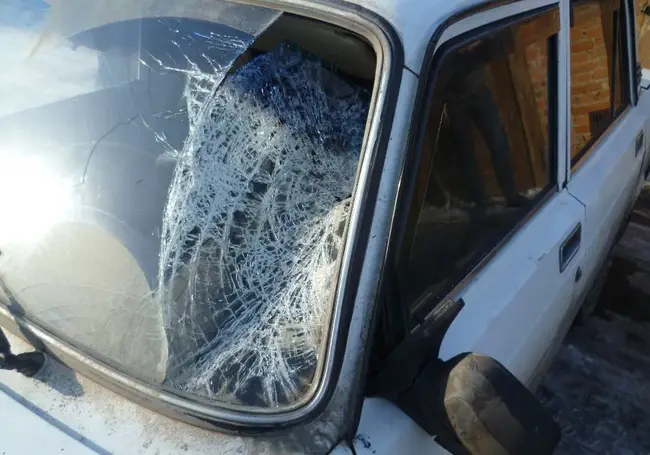 Сотрудникам ГАИ пришлось разбить стекло, чтобы вытащить из автомобиля нарушителей
