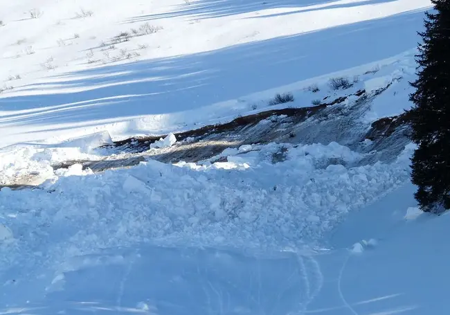 В Хабаровском крае России сошла лавина, под снегом оказались 11 человек, есть погибшие