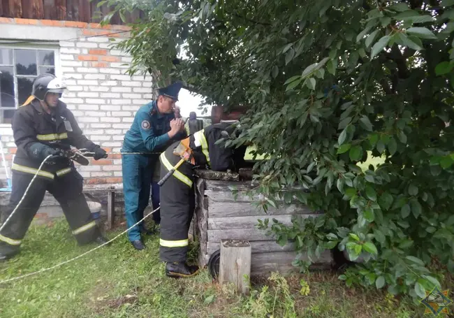 Женщина собирала вишню, стоя на колодце, и провалилась внутрь